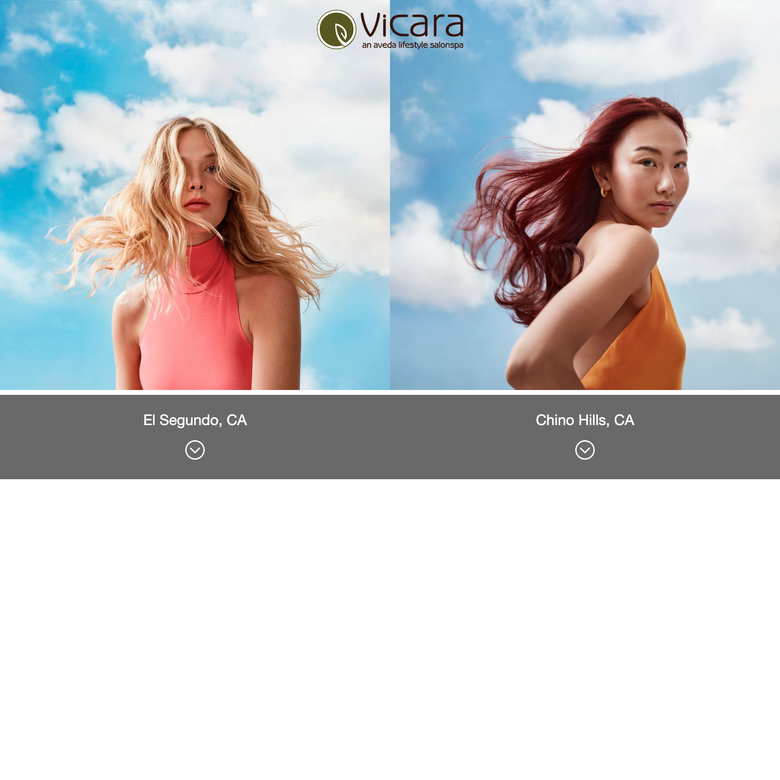 Vicara Salon & Spa — Aveda Lifestyle Salon
